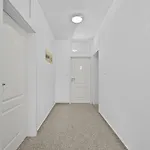 Amazing In With Wifi Apartment